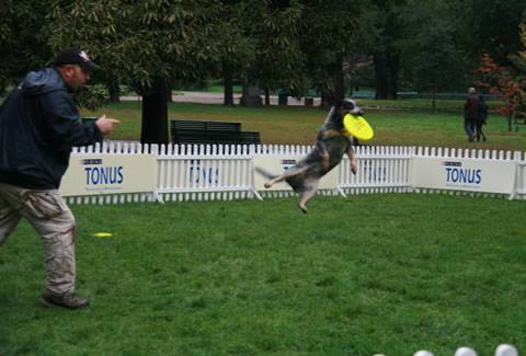 Tonus_Disc_Dog_Day_Milano Tonus_Disc_Dog_Day_Milano