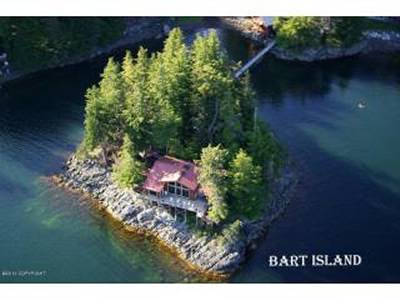 bart-island
