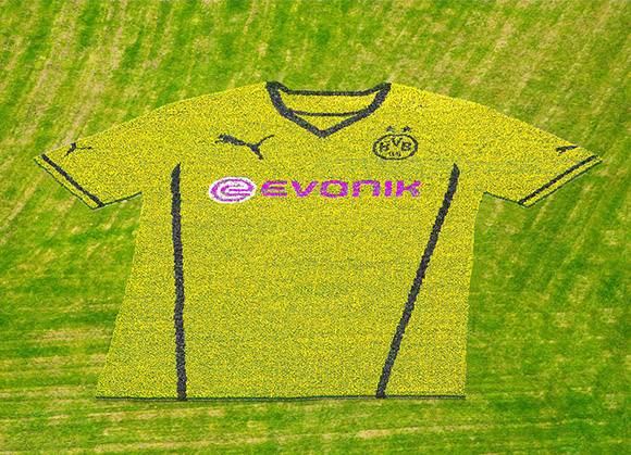 Floral Display_PUMA_BVB maglia borussia