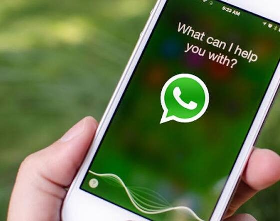 WhatsApp smetterà di funzionare fate attenzione ai vostri cellulari