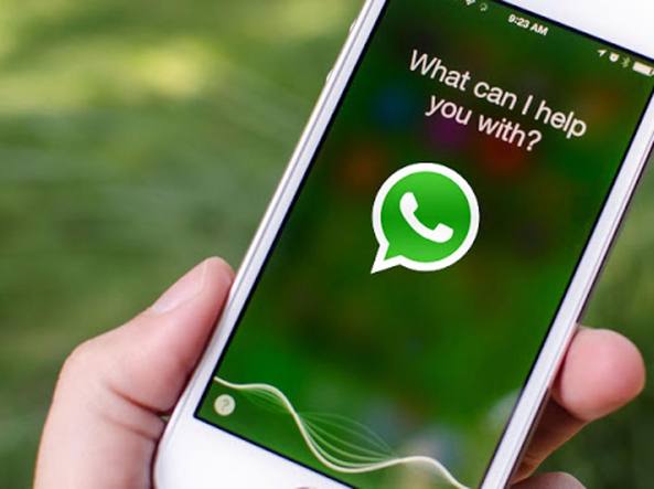 WhatsApp smetterà di funzionare fate attenzione ai vostri cellulari