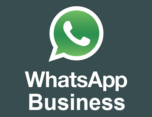 WhatsApp business cos'è come usarlo e come creare l'account