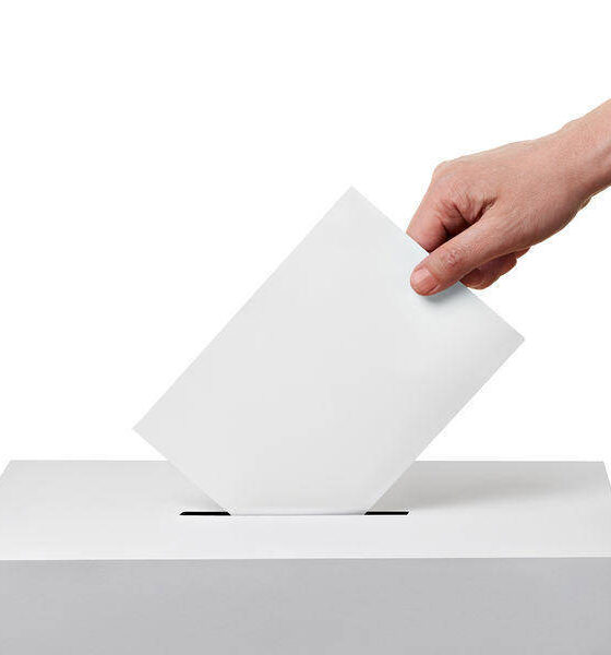 Elezioni Politiche 2018 come votare e come sono fatte le schede elettorali