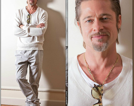 Brad Pitt non fa sesso per 12 mesi e apre uno zoo per i figli