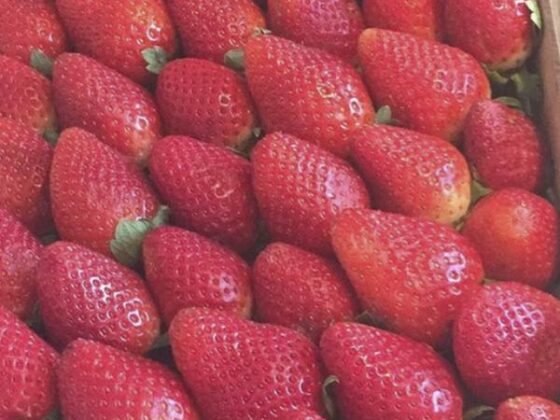 Dieta come dimagrire per l'estate ecco 10 consigli utili per perdere peso