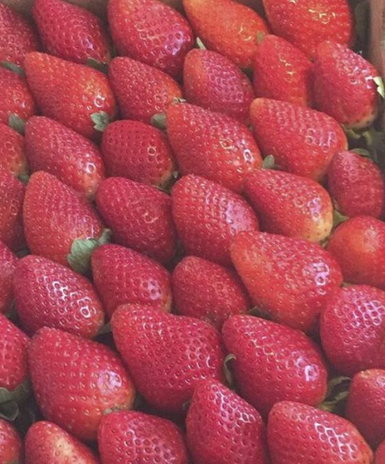 Dieta come dimagrire per l'estate ecco 10 consigli utili per perdere peso