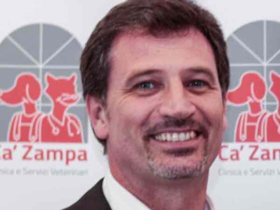 Capodanno come proteggere gli animali dai botti e dai petardi sparati