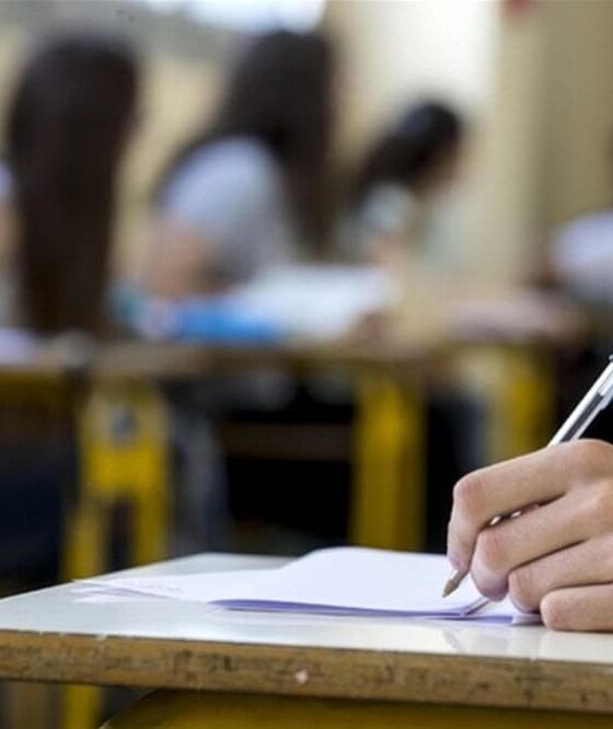 Tracce temi maturità 2019 prima prova Brexit o World Wide Web?