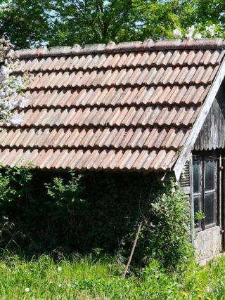 La casetta da giardino dei tuoi sogni: ecco come costruirla senza spendere una fortuna