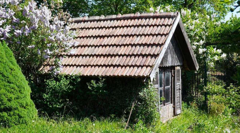 La casetta da giardino dei tuoi sogni: ecco come costruirla senza spendere una fortuna