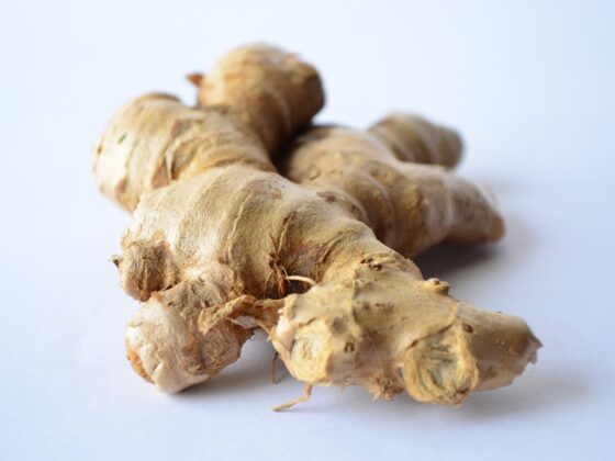 Il potere termogenico dello zenzero: aumenta il metabolismo e perdi peso